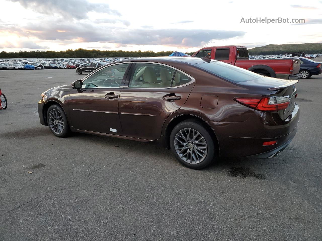 2018 Lexus Es 350 Brown vin: 58ABK1GG0JU089546