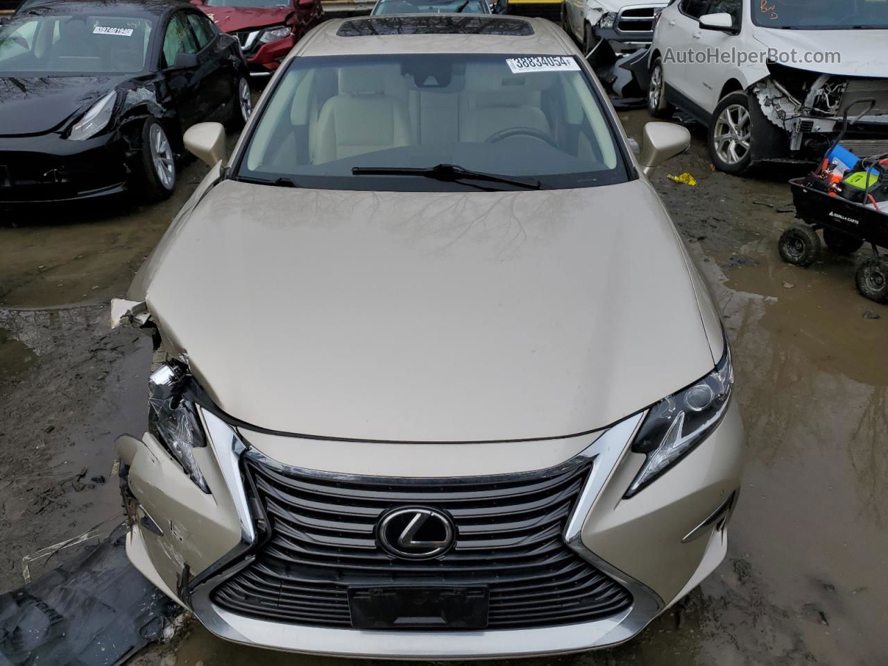 2018 Lexus Es 350 Gold vin: 58ABK1GG2JU116827