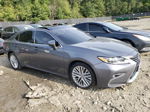 2016 Lexus Es 350 Gray vin: 58ABK1GG6GU004797