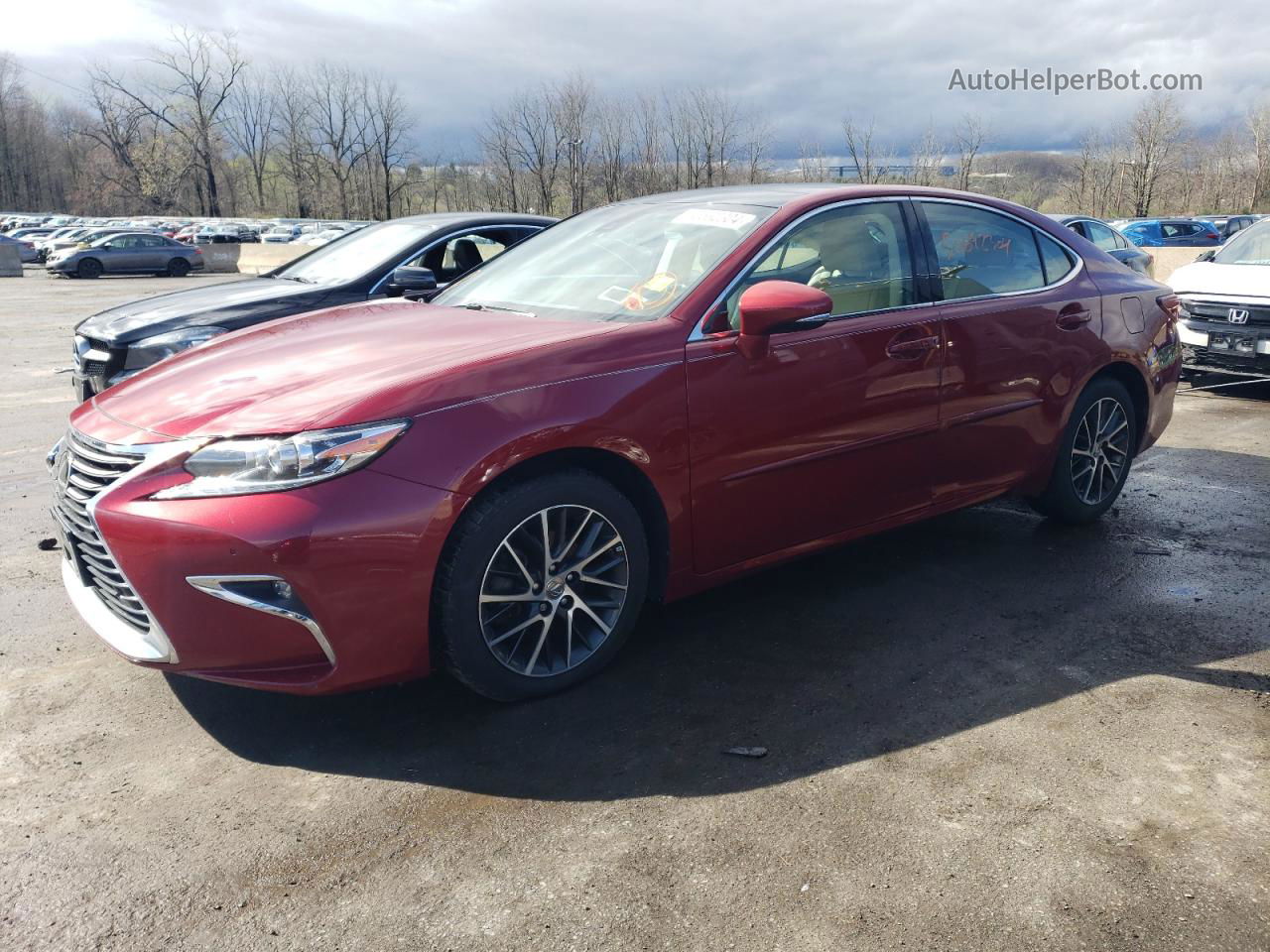 2017 Lexus Es 350 Red vin: 58ABK1GG6HU042497