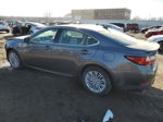 2017 Lexus Es 350 Gray vin: 58ABK1GG7HU037759