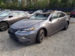 2017 Lexus Es 350 Gray vin: 58ABK1GG7HU046428