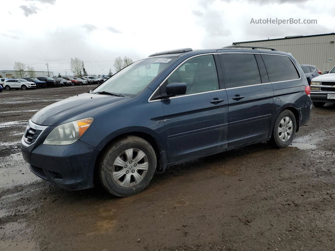 2009 Honda Odyssey Exl Синий vin: 5FNRL38759B504429