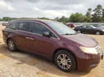 2013 Honda Odyssey Exl Бордовый vin: 5FNRL5H60DB014721