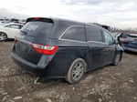 2013 Honda Odyssey Exl Black vin: 5FNRL5H60DB084199