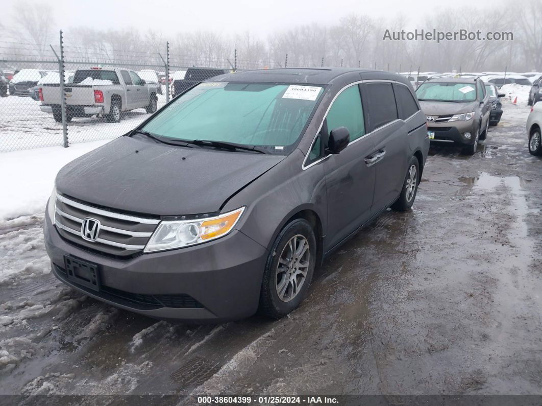 2013 Honda Odyssey Ex-l Brown vin: 5FNRL5H61DB041961