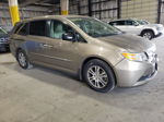 2013 Honda Odyssey Exl Золотой vin: 5FNRL5H61DB052779