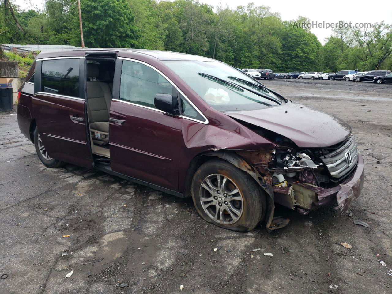 2013 Honda Odyssey Exl Burgundy vin: 5FNRL5H61DB059540