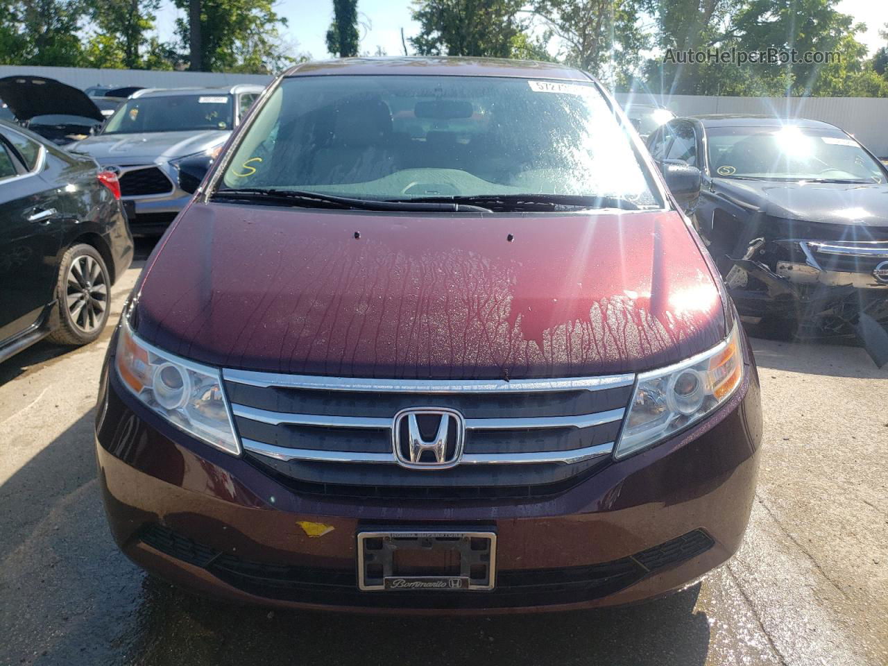 2013 Honda Odyssey Exl Burgundy vin: 5FNRL5H63DB033344