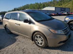 2013 Honda Odyssey Exl Коричневый vin: 5FNRL5H63DB074301