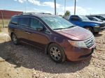 2013 Honda Odyssey Exl Purple vin: 5FNRL5H63DB082639