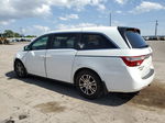 2013 Honda Odyssey Exl Белый vin: 5FNRL5H67DB017292