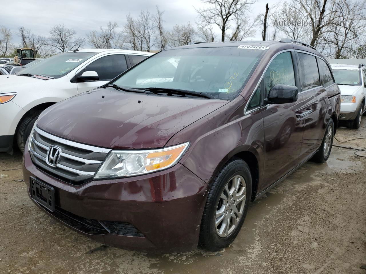 2013 Honda Odyssey Exl Purple vin: 5FNRL5H67DB040362