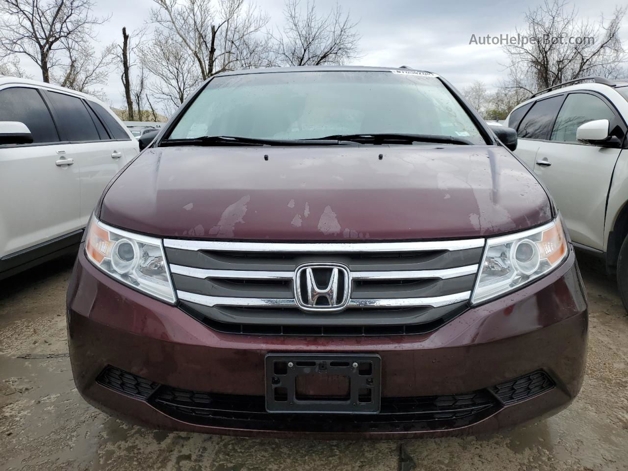 2013 Honda Odyssey Exl Фиолетовый vin: 5FNRL5H67DB040362