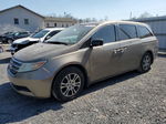 2013 Honda Odyssey Exl Tan vin: 5FNRL5H69DB031811