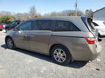 2013 Honda Odyssey Exl Желто-коричневый vin: 5FNRL5H69DB031811