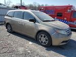 2013 Honda Odyssey Exl Желто-коричневый vin: 5FNRL5H69DB031811