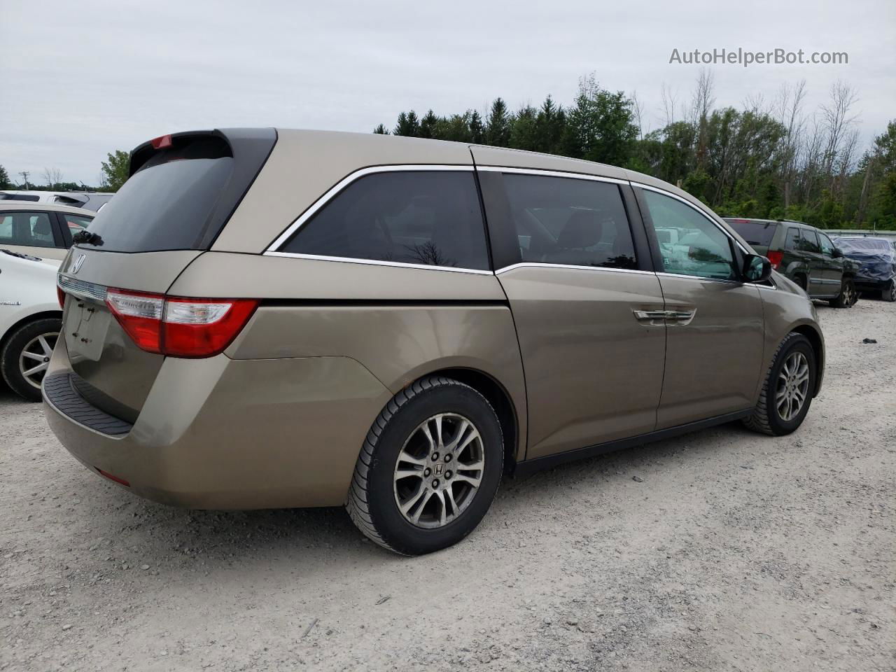 2013 Honda Odyssey Exl Желто-коричневый vin: 5FNRL5H6XDB045555