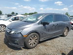 2019 Honda Odyssey Lx Gray vin: 5FNRL6H22KB037885