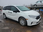 2021 Honda Odyssey Lx Белый vin: 5FNRL6H27MB037271