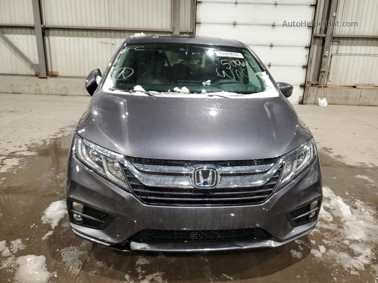 2020 Honda Odyssey Ex Серый vin: 5FNRL6H44LB500662