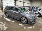 2020 Honda Odyssey Ex Gray vin: 5FNRL6H44LB500662