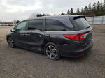 2020 Honda Odyssey Ex Серый vin: 5FNRL6H4XLB501847