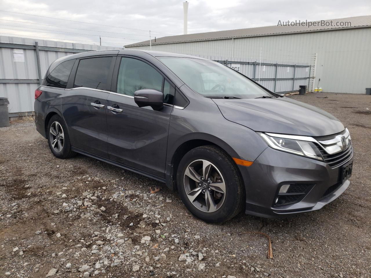 2020 Honda Odyssey Ex Gray vin: 5FNRL6H4XLB501847