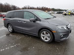 2020 Honda Odyssey Ex Gray vin: 5FNRL6H50LB067933