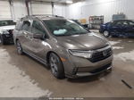 2021 Honda Odyssey Ex Gray vin: 5FNRL6H50MB031418