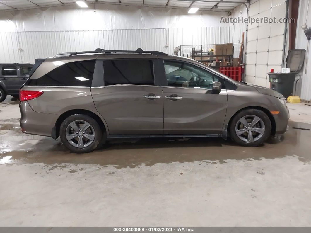 2021 Honda Odyssey Ex Gray vin: 5FNRL6H50MB031418