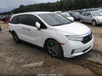 2021 Honda Odyssey Ex White vin: 5FNRL6H51MB022727