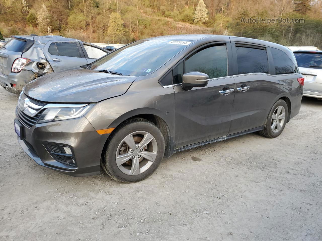 2019 Honda Odyssey Ex Gray vin: 5FNRL6H52KB009451