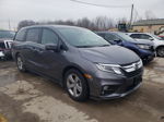 2019 Honda Odyssey Ex Gray vin: 5FNRL6H52KB023866