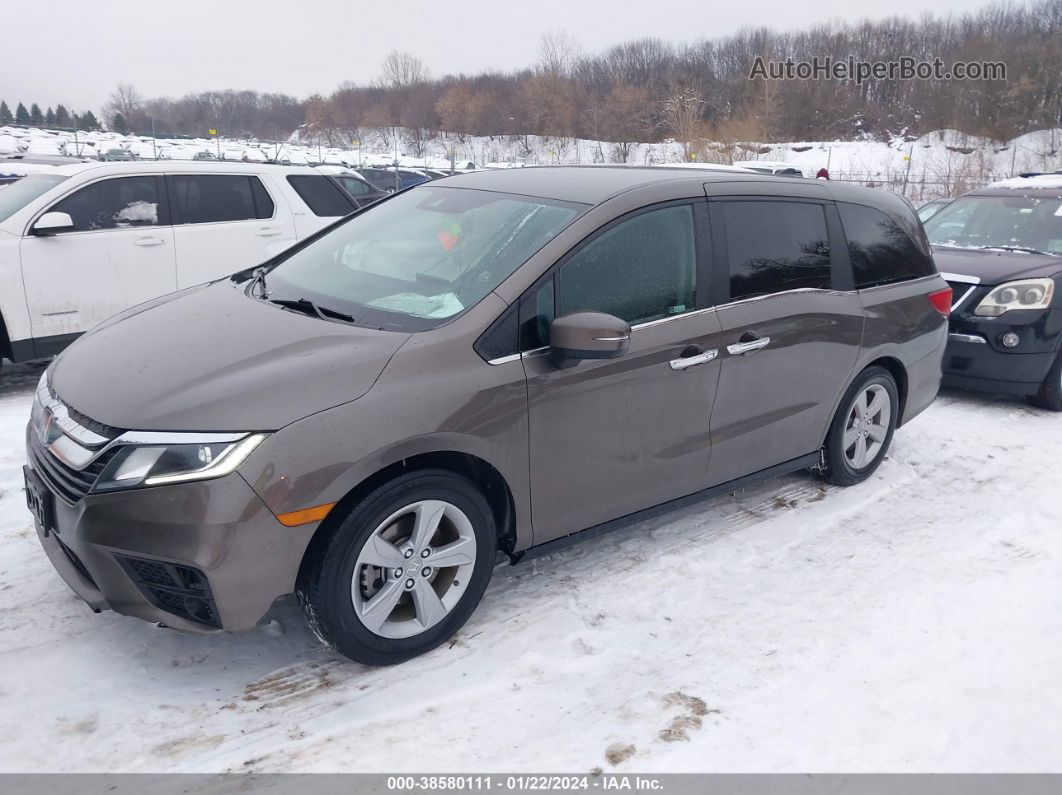 2019 Honda Odyssey Ex Коричневый vin: 5FNRL6H52KB123627