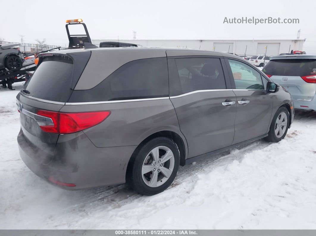 2019 Honda Odyssey Ex Коричневый vin: 5FNRL6H52KB123627