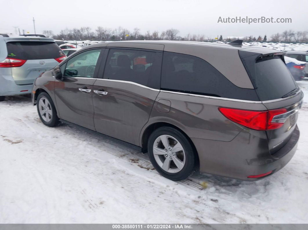 2019 Honda Odyssey Ex Brown vin: 5FNRL6H52KB123627