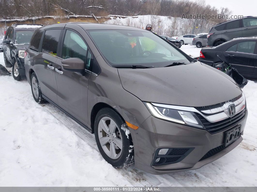 2019 Honda Odyssey Ex Brown vin: 5FNRL6H52KB123627