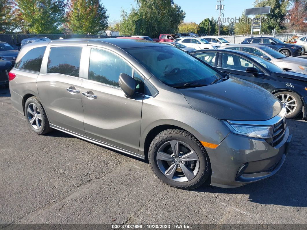 2021 Honda Odyssey Ex Gray vin: 5FNRL6H52MB031968