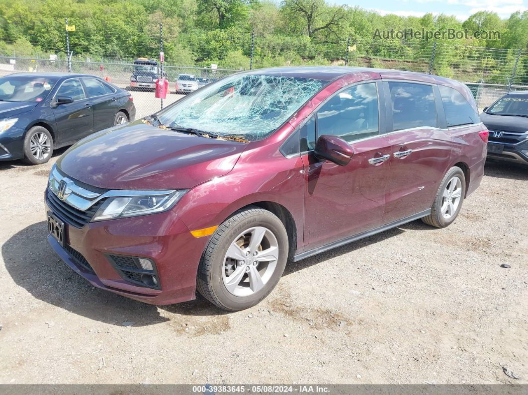 2019 Honda Odyssey Ex Red vin: 5FNRL6H53KB107372