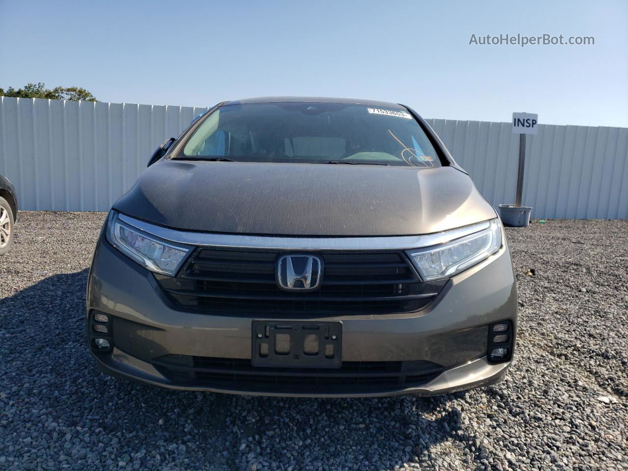 2021 Honda Odyssey Ex Gray vin: 5FNRL6H53MB043725