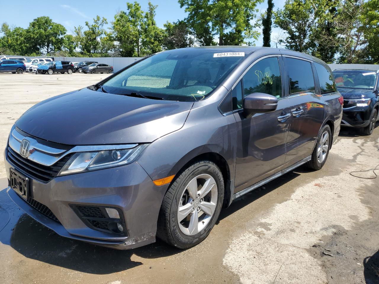 2019 Honda Odyssey Ex Gray vin: 5FNRL6H54KB007619