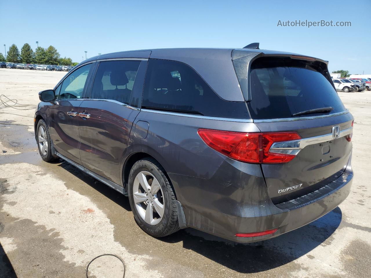 2019 Honda Odyssey Ex Серый vin: 5FNRL6H54KB007619