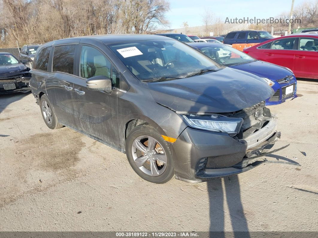 2021 Honda Odyssey Ex Серый vin: 5FNRL6H54MB035441