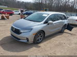 2021 Honda Odyssey Ex Gray vin: 5FNRL6H55MB019183