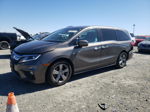 2020 Honda Odyssey Ex Коричневый vin: 5FNRL6H56LB012547