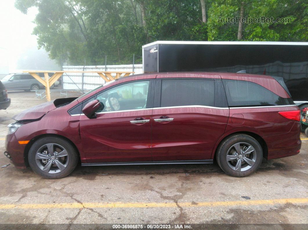 2021 Honda Odyssey Ex Темно-бордовый vin: 5FNRL6H56MB016373