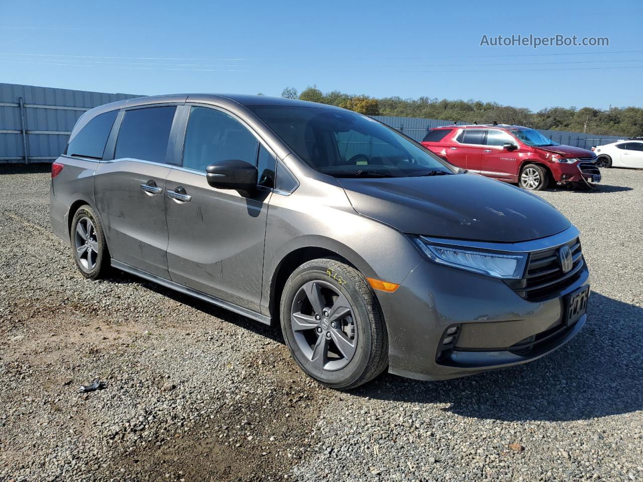 2021 Honda Odyssey Ex Серый vin: 5FNRL6H56MB035411