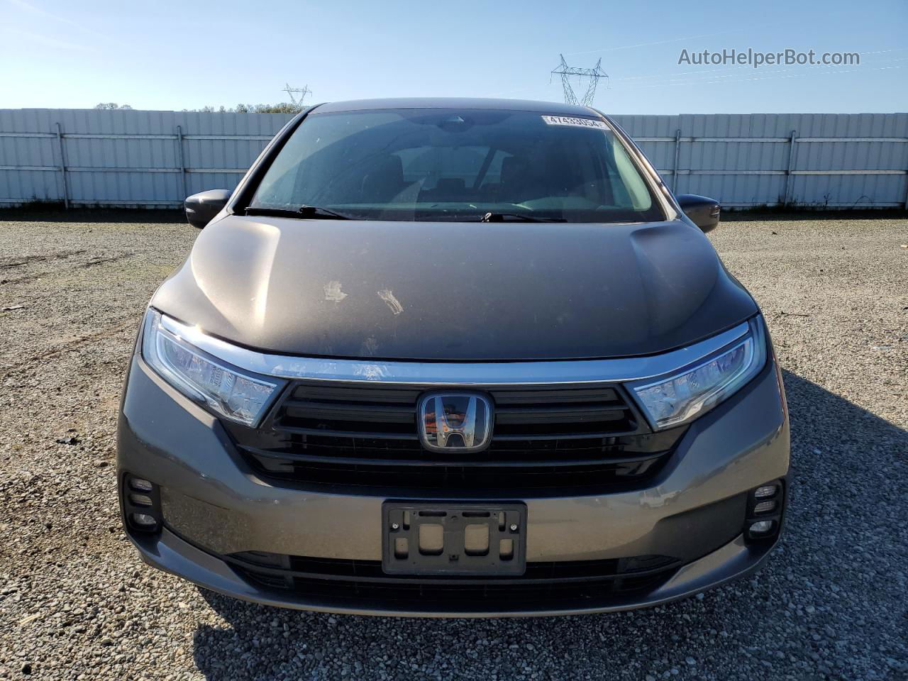 2021 Honda Odyssey Ex Серый vin: 5FNRL6H56MB035411