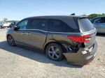 2021 Honda Odyssey Ex Gray vin: 5FNRL6H56MB035411